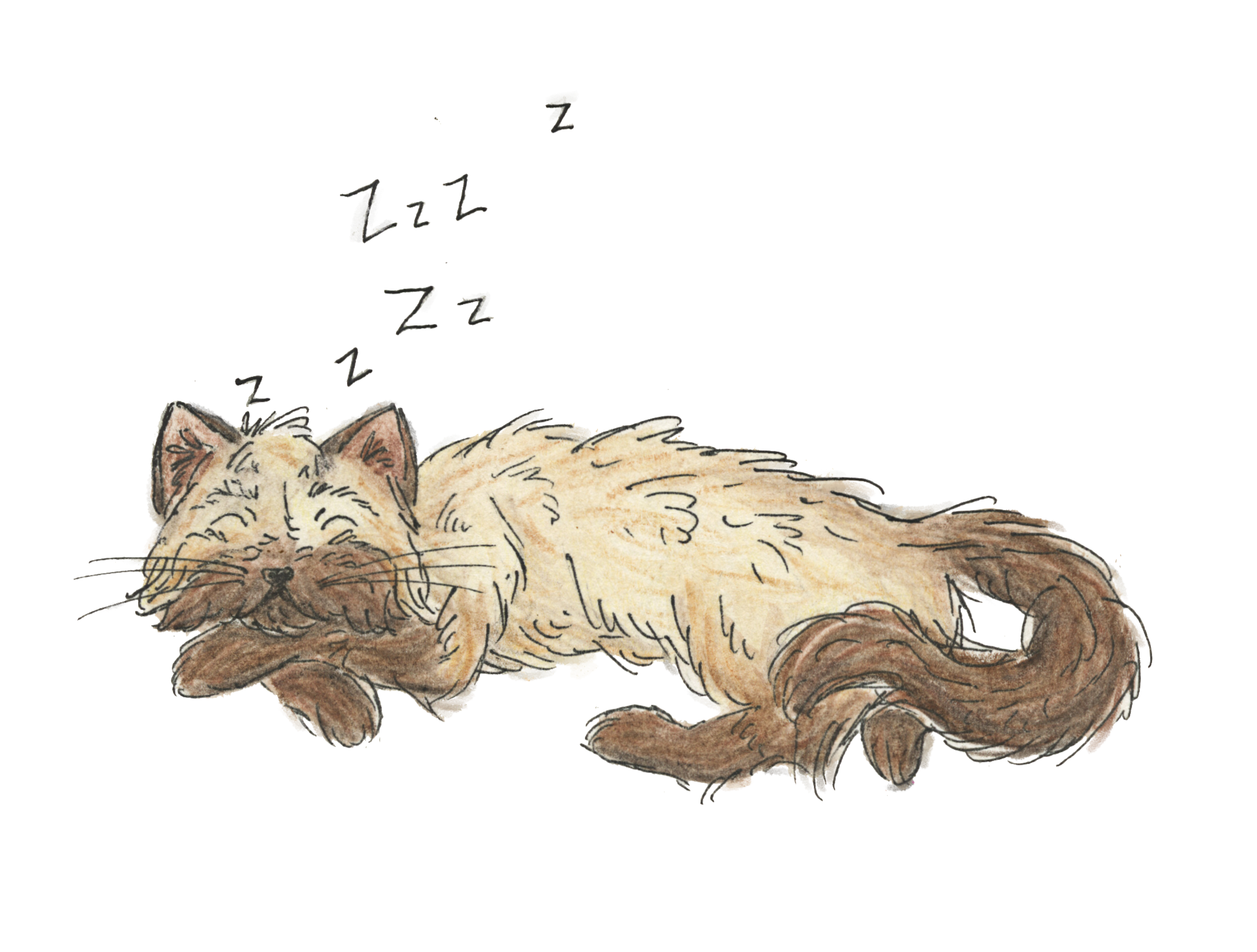 Illustration of a sleeping cat with 'Zzz' text above. faith and friendship children’s book, Christian story about kindness and gratitude, wholesome chapter book for ages 6–11, Christian bedtime story for kids, dog character children’s book, Christian book about baking for kids, stories that teach God’s love, Bible-inspired story for kids, Christian book series for young readers, positive stories for Christian families